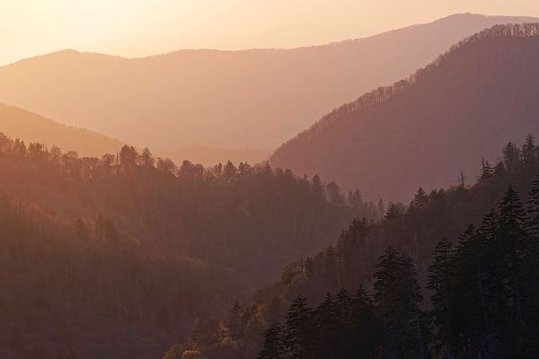 Jones, Adam 아티스트의 Sunset from Morton Overlook-Great Smoky Mountains National Park-Tennessee작품입니다.